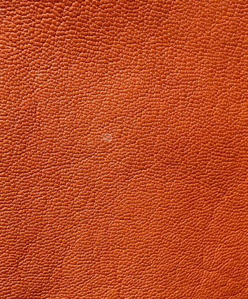 AVIREX（アヴィレックス）AVIREX (アヴィレックス) GOAT A.W.A. PATCHED PARKA オレンジ サイズ:Mの古着・服飾アイテム