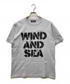 WIND AND SEAウィンダンシー）の古着「Tシャツ」｜ライトグレー