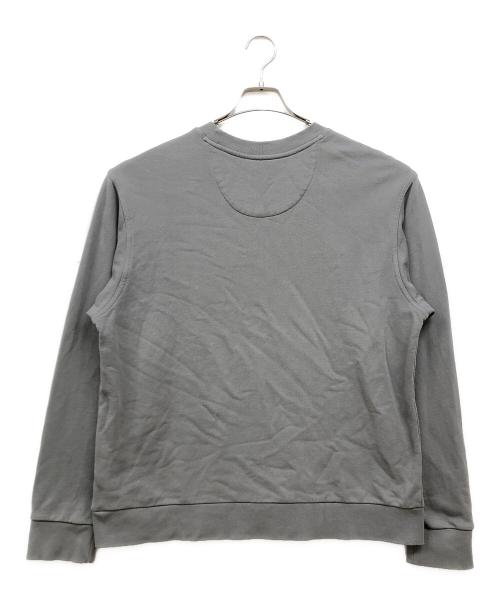 Patagonia（パタゴニア）Patagonia (パタゴニア) デイリー・クルーネック・スウェットシャツ グレー サイズ:Mの古着・服飾アイテム