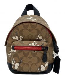 COACH（コーチ）の古着「ピーナッツコラボ スヌーピークロスボディバッグ」｜ブラウン