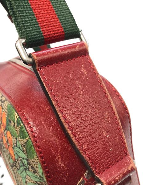 GUCCI（グッチ）GUCCI (グッチ) ティアン ショルダーバッグ ベージュの古着・服飾アイテム