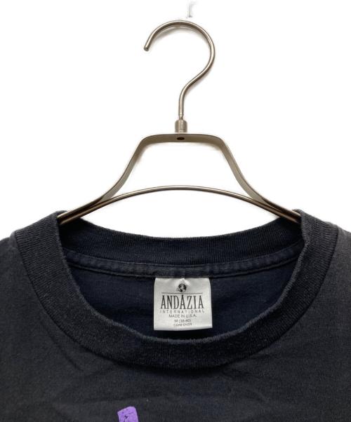 ANDAZIA（アンダジア）ANDAZIA (アンダジア) アインシュタインTシャツ ブラック サイズ:Mの古着・服飾アイテム
