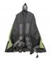 GREGORY (グレゴリー) BEAMS BOY (ビームスボーイ) VINTAGE DAY PACK グリーン：20000円