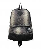 THE NORTH FACE×SUPREMEザ ノース フェイス×シュプリーム）の古着「Snakeskin Lightweight Day BackPack」｜ブラック