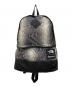 THE NORTH FACE（ザ ノース フェイス）の古着「Snakeskin Lightweight Day BackPack」｜ブラック