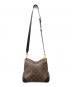 LOUIS VUITTON (ルイ ヴィトン) ショルダーバッグ ブラウン×ブラック：210000円