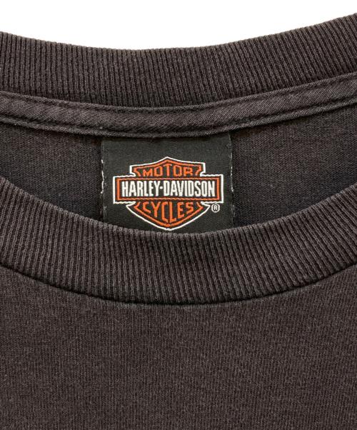 HARLEY-DAVIDSON（ハーレーダビッドソン）HARLEY-DAVIDSON (ハーレーダビッドソン) “APOL'S” ピッグ 両面プリント Tシャツ ブラック サイズ:Lの古着・服飾アイテム