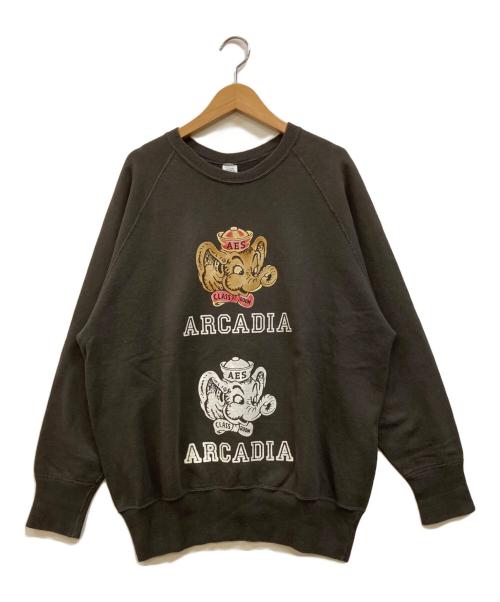 WAREHOUSE & CO（ウェアハウスアンドコー）WAREHOUSE & CO (ウェアハウスアンドコー) BEAMS BOY (ビームスボーイ) 別注フロッキープリントスウェット ブラウン サイズ:Ｌの古着・服飾アイテム