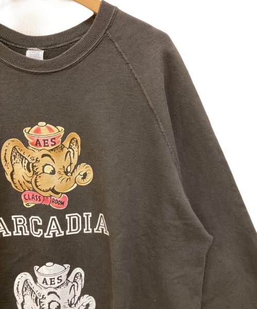 WAREHOUSE & CO（ウェアハウスアンドコー）WAREHOUSE & CO (ウェアハウスアンドコー) BEAMS BOY (ビームスボーイ) 別注フロッキープリントスウェット ブラウン サイズ:Ｌの古着・服飾アイテム