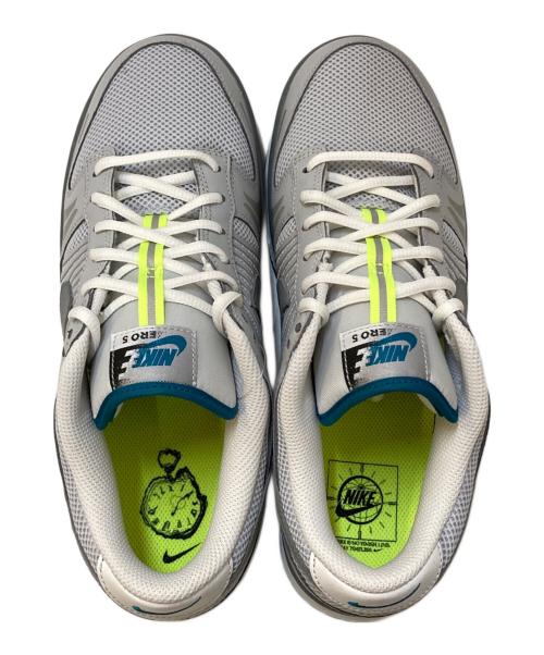 NIKE（ナイキ）NIKE (ナイキ) WMNS DUNK LOW SE ローカットスニーカー グレー×ブルー サイズ:27.5㎝の古着・服飾アイテム