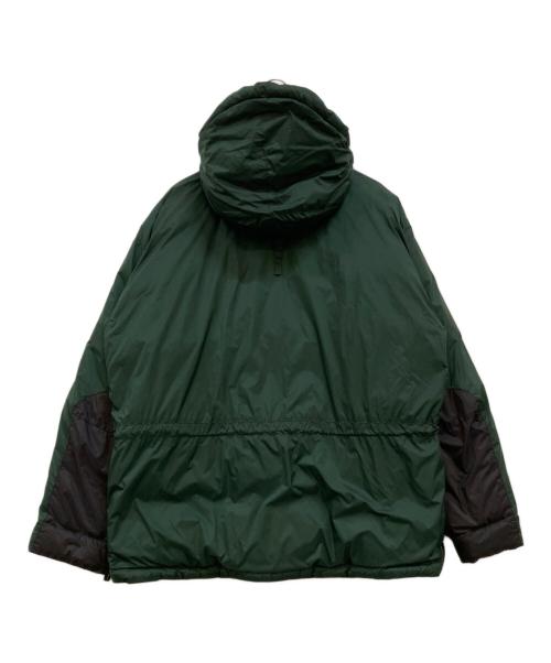 WILD THINGS（ワイルドシングス）WILD THINGS (ワイルドシングス) DACRON CHAMONIX グリーン サイズ:Ｍの古着・服飾アイテム