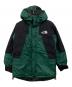 THE NORTH FACE（ザ ノース フェイス）の古着「MOUNTAIN GUIDE GORE-TEX JACKET」｜グリーン