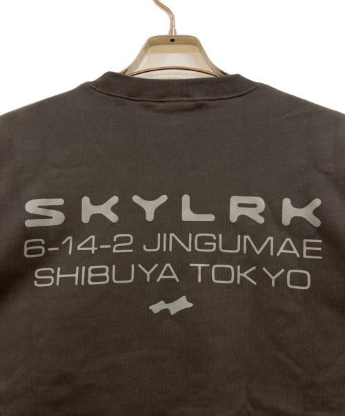 skylrk（スカイラーク）skylrk (スカイラーク) クルーネックスウェット グレー サイズ:Lの古着・服飾アイテム