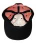 中古・古着 Supreme (シュプリーム) Pledge Allegiance 6-Panel キャップ ピンク：7000円