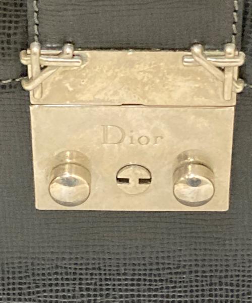 Christian Dior（クリスチャン ディオール）Christian Dior (クリスチャン ディオール) タイガレザー ブリーフケース ブラックの古着・服飾アイテム
