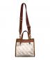 COACH (コーチ) Dempsey Leather Animal Print Handbag ブラウン×ブラック：18000円