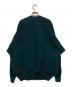A-POC ABLE ISSEY MIYAKE (エイポック エイブル イッセイ ミヤケ) TYPE-K STEAM STRETCH KNIT グリーン サイズ:2：35000円