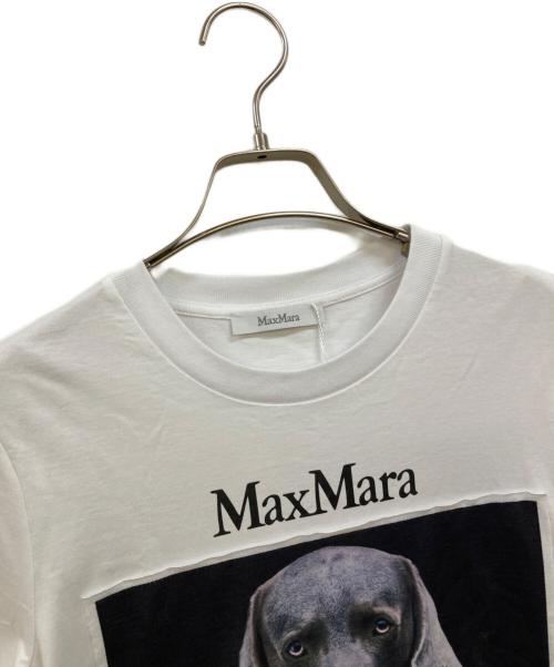 MaxMara（マックスマーラ）MaxMara (マックスマーラ) ドッグプリントTシャツ ホワイト サイズ:XS 未使用品の古着・服飾アイテム