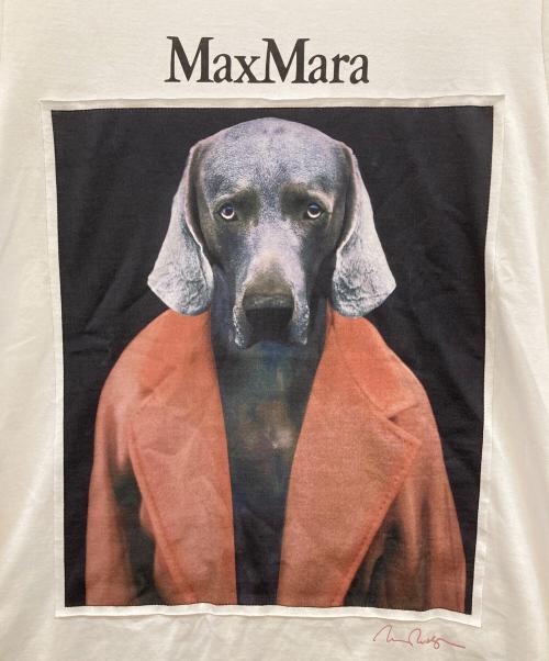 MaxMara（マックスマーラ）MaxMara (マックスマーラ) ドッグプリントTシャツ ホワイト サイズ:XS 未使用品の古着・服飾アイテム