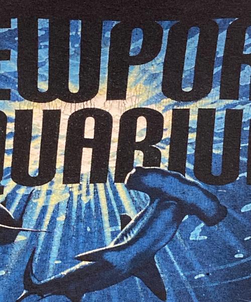 VINTAGE（ヴィンテージ）VINTAGE (ヴィンテージ) NEWPORT AQUARIUM TEE ブラック サイズ:下記参照の古着・服飾アイテム
