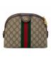 GUCCI（グッチ）の古着「シェリーライン オフィディア スモール ショルダーバッグ」｜ブラウン