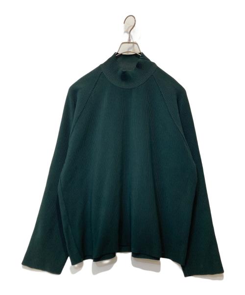 stein（シュタイン）stein (シュタイン) 21AW/OVERSIZED GRADATION PLEATS LS TEE グリーン サイズ:Mの古着・服飾アイテム