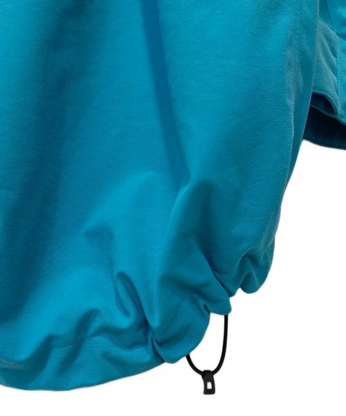 THE NORTH FACE（ザ ノース フェイス）THE NORTH FACE (ザ ノース フェイス) TRANS ANTARCTICA PARKA ブルー サイズ:Ｌの古着・服飾アイテム