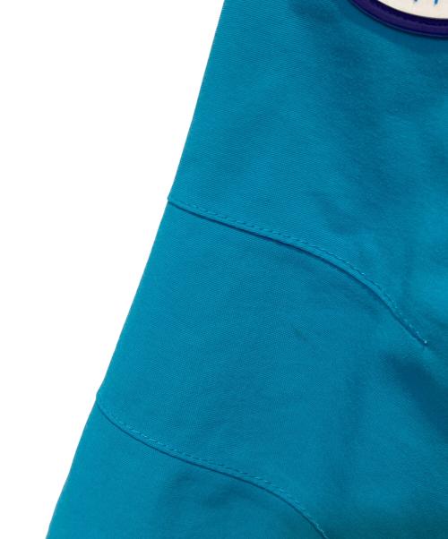 THE NORTH FACE（ザ ノース フェイス）THE NORTH FACE (ザ ノース フェイス) TRANS ANTARCTICA PARKA ブルー サイズ:Ｌの古着・服飾アイテム
