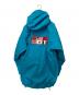 THE NORTH FACE (ザ ノース フェイス) TRANS ANTARCTICA PARKA ブルー サイズ:Ｌ：30000円