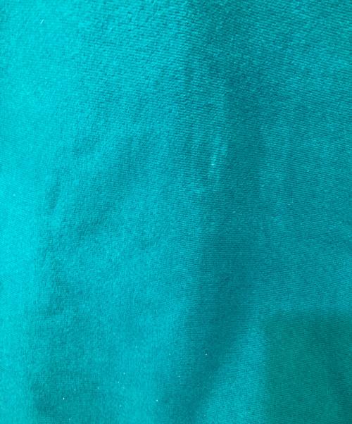 Champion（チャンピオン）Champion (チャンピオン) REVERSE WEAVE グリーン サイズ:XLの古着・服飾アイテム