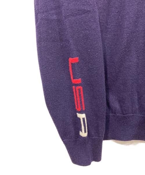 POLO GOLF（ポロ ゴルフ）POLO GOLF (ポロ ゴルフ) 星条旗ニット ネイビー サイズ:Mの古着・服飾アイテム