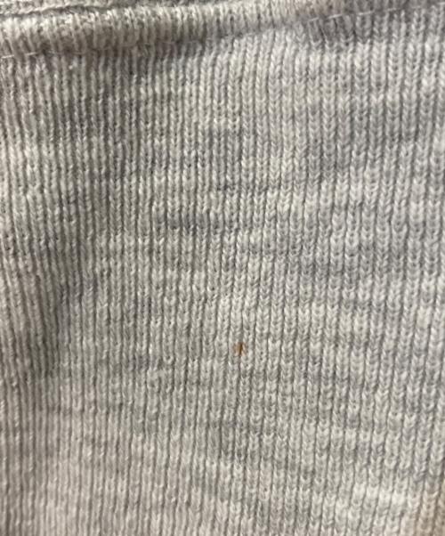 Champion（チャンピオン）Champion (チャンピオン) リバースウィーブスウェット ライトグレー サイズ:XXLの古着・服飾アイテム