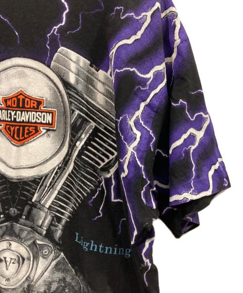 HARLEY-DAVIDSON（ハーレーダビッドソン）HARLEY-DAVIDSON (ハーレーダビッドソン) Thunder & Lightning/サンダー＆ライトニングTシャツ ブラック サイズ:Lの古着・服飾アイテム
