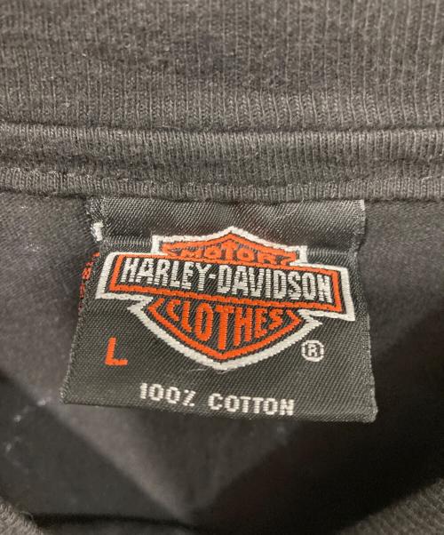 HARLEY-DAVIDSON（ハーレーダビッドソン）HARLEY-DAVIDSON (ハーレーダビッドソン) Thunder & Lightning/サンダー＆ライトニングTシャツ ブラック サイズ:Lの古着・服飾アイテム