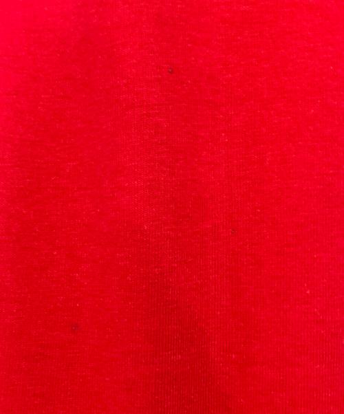 FUBU（フブ）FUBU (フブ) ロゴTシャツ レッド サイズ:Ｌの古着・服飾アイテム