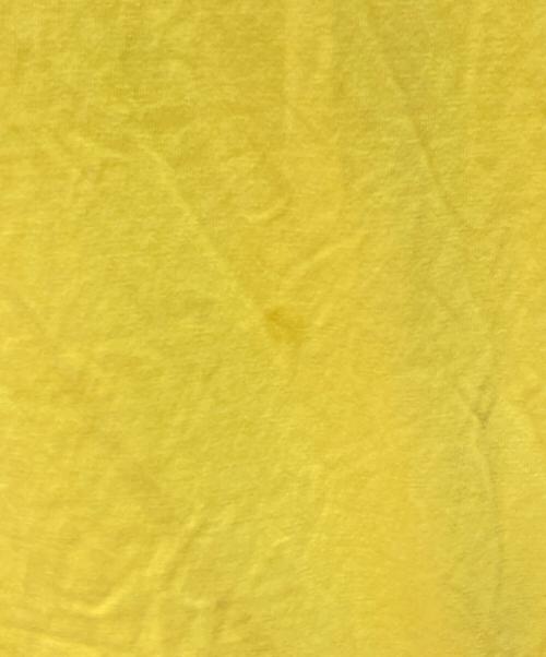 stussy（ステューシー）stussy (ステューシー) プリントTシャツ イエロー サイズ:XLの古着・服飾アイテム