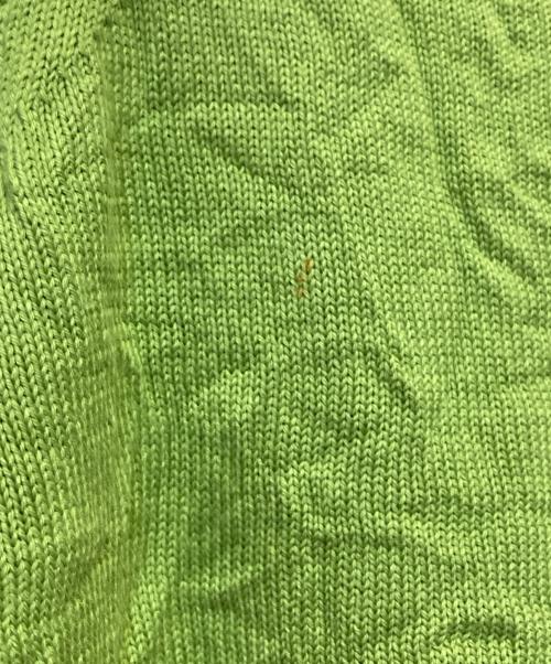 AURALEE（オーラリー）AURALEE (オーラリー) WRINKLED DRY COTTON KNIT P/O グリーン サイズ:4の古着・服飾アイテム