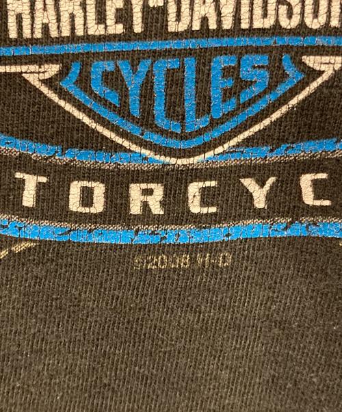 HARLEY-DAVIDSON（ハーレーダビッドソン）HARLEY-DAVIDSON (ハーレーダビッドソン) ロングスリーブTシャツ ブラック サイズ:XLの古着・服飾アイテム