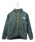 THE NORTH FACE（ザ ノース フェイス）の古着「Aglow DW Light Jacket」｜グレー