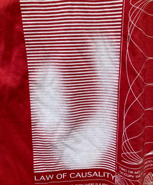 gadid anoniem（ガディッド アノニム）gadid anoniem (ガディッド アノニム) ZEKE Tシャツ レッド サイズ:Freeの古着・服飾アイテム