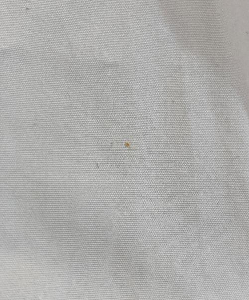 JIL SANDER（ジルサンダー）JIL SANDER (ジルサンダー) ギャザースリーブワンピース アイボリー サイズ:38の古着・服飾アイテム