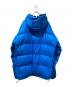 Patagonia (パタゴニア) Fitz Roy Down Hoody ブルー サイズ:L：18000円