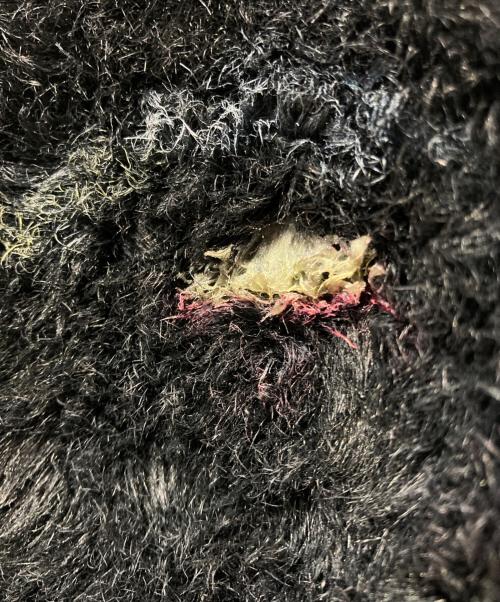 doublet（ダブレット）doublet (ダブレット) HAND PAINTED FUR JACKT ブラック サイズ:Ｍの古着・服飾アイテム