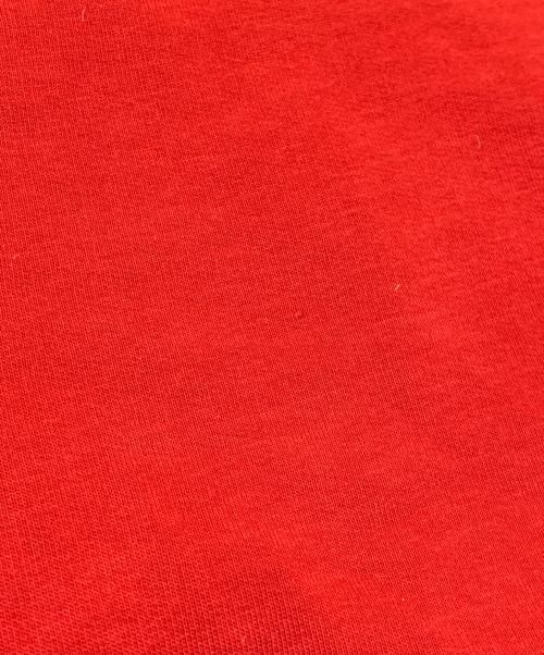 POLO RALPH LAUREN（ポロ・ラルフローレン）POLO RALPH LAUREN (ポロ・ラルフローレン) ロゴパーカー レッド×ネイビー サイズ:XXLの古着・服飾アイテム