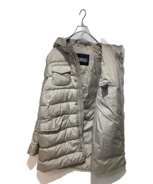 HERNO（ヘルノ）HERNO (ヘルノ) ダウンコート グレー サイズ:48の古着・服飾アイテム