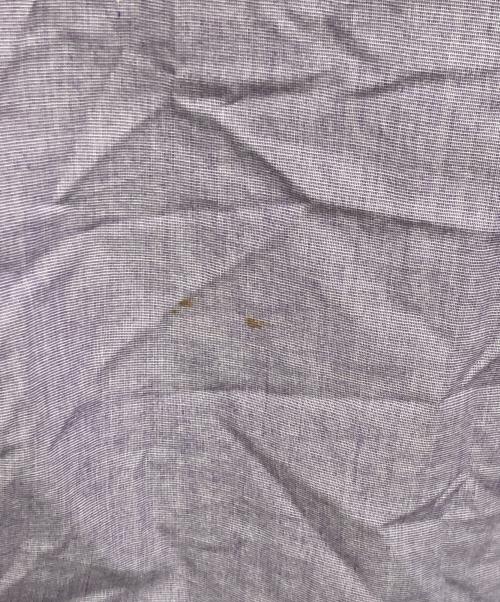 POLO RALPH LAUREN（ポロ・ラルフローレン）POLO RALPH LAUREN (ポロ・ラルフローレン) S/Sボタンダウンシャツ パープル サイズ:Ｌの古着・服飾アイテム