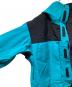 中古・古着 THE NORTH FACE (ザ ノース フェイス) BEAMS (ビームス) Expedition Light parka ブルー サイズ:L：18000円