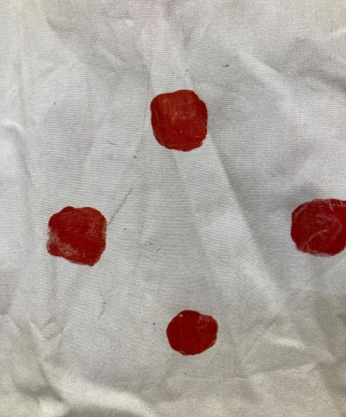 COMME des GARCONS SHIRT（コムデギャルソンシャツ）COMME des GARCONS SHIRT (コムデギャルソンシャツ) ドットシャツ ホワイト×レッド サイズ:Mの古着・服飾アイテム