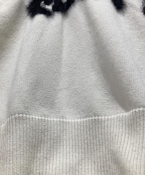 MARNI（マルニ）MARNI (マルニ) ショットランドウールナイロンクルーネックニット ホワイト サイズ:40の古着・服飾アイテム