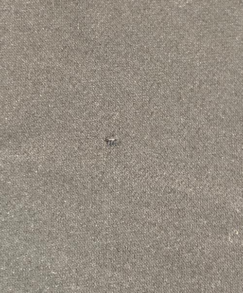 STELLA McCARTNEY（ステラマッカートニー）STELLA McCARTNEY (ステラマッカートニー) ブラウス ブラック サイズ:36の古着・服飾アイテム